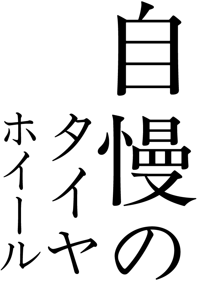 自慢のタイヤホイール