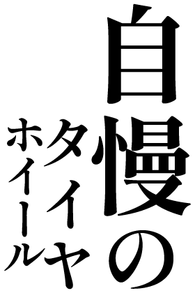 自慢のタイヤホイール